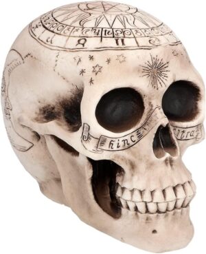 Tête de mort One Piece Boland 73081, figurine en plastique 20 cm