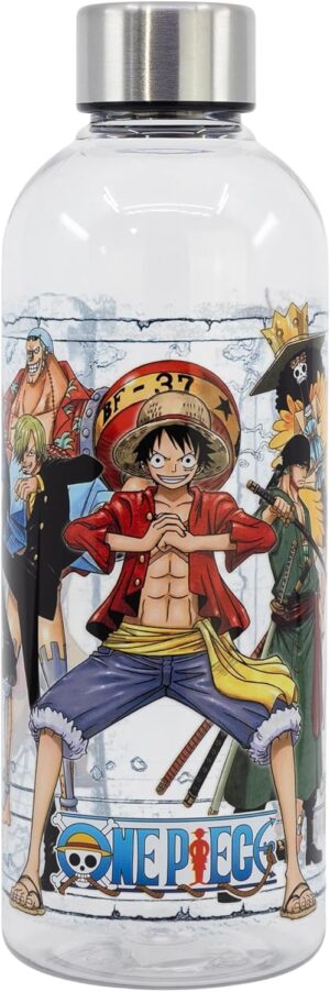 Gourde One Piece format 850